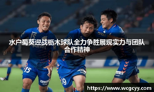 水户蜀葵迎战枥木球队全力争胜展现实力与团队合作精神